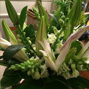 Meet your Posher, Shannon